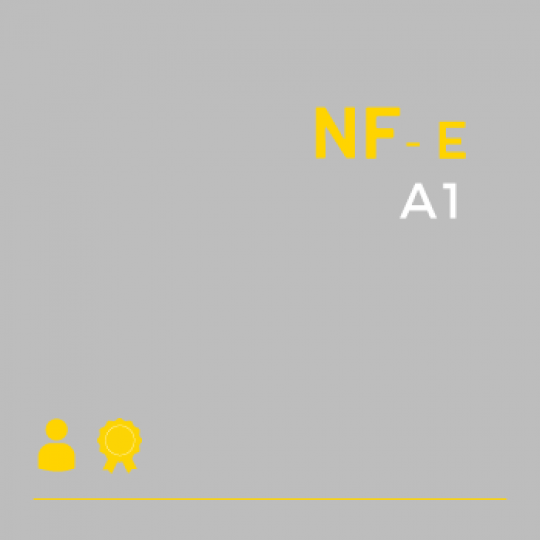 Certificado Digital para Nota Fiscal Eletrônica A1 (NF-e A1)